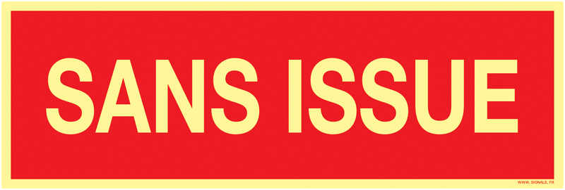 Panneaux 25*8 photoluminescent sans issue 