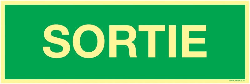 Panneaux 25*8 photoluminescent sortie