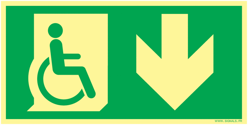 Panneaux 25*13 photoluminescent sortie en bas personne à mobilité réduite